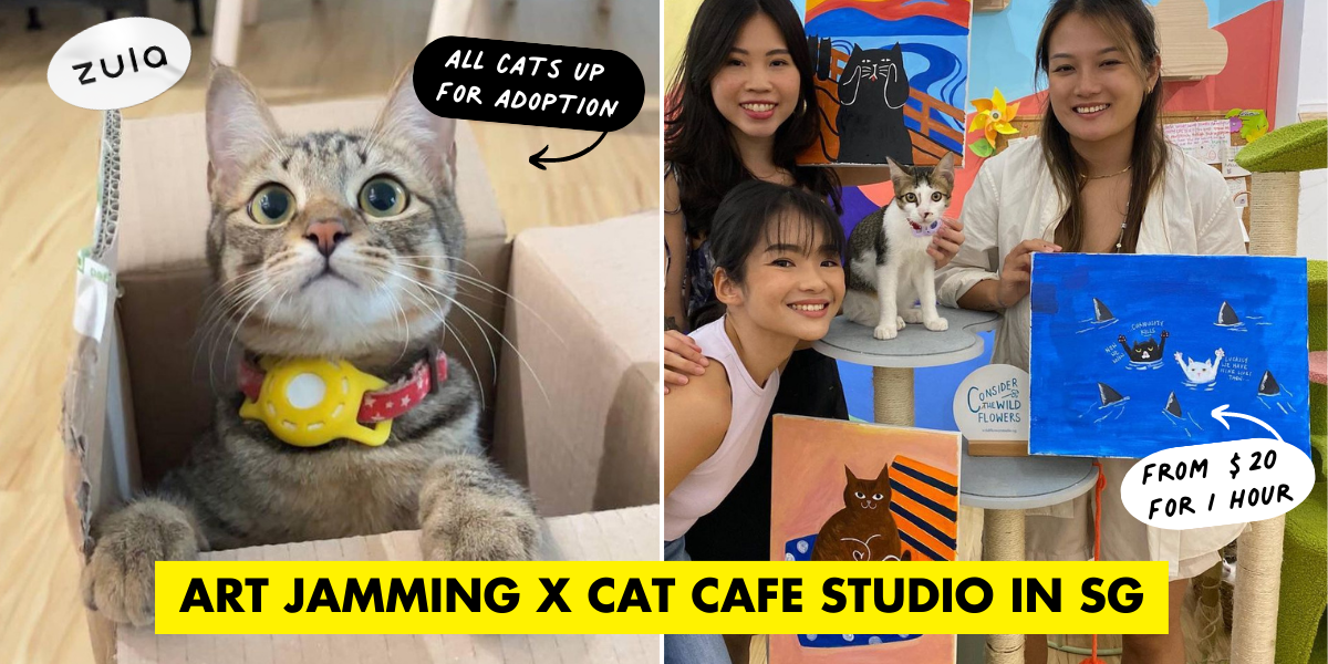 Wildflower Studio Singapore Is An Art Jamming Studio & Cat Cafe With Adorable Cats Up For Adoption