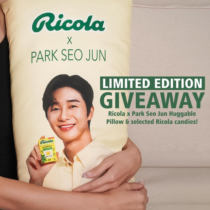 Park Seo Jun Body Pillow