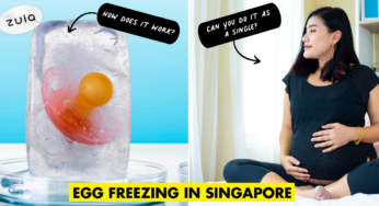 Guide To Egg Freezing In Singapore – Types Of Procedures, Cost & Side Effects