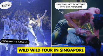Wild Wild Is A Sensual Show Starring Half Naked Hunks For Women Only, Coming To SG This July