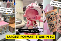 POPMART ION ORCHARD