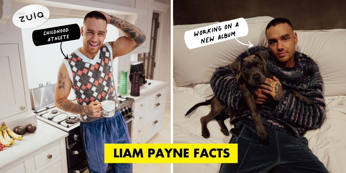 liam payne facts