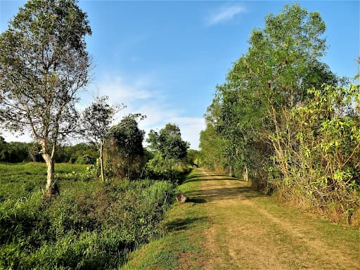 tampines eco green park