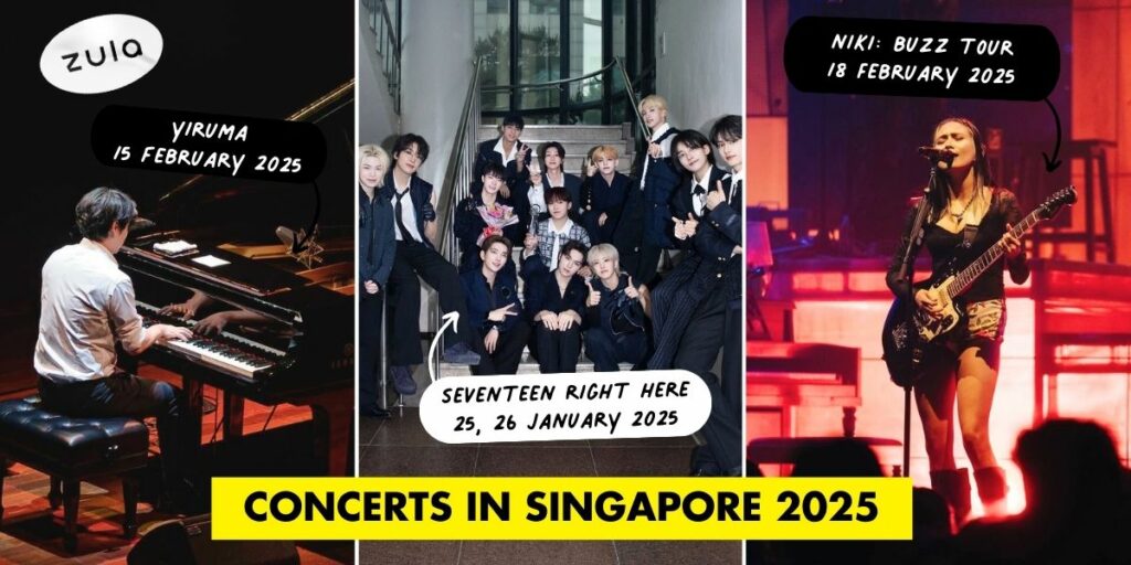 2025 concerts - cover image