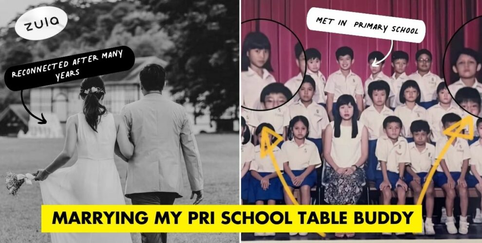 primary school table buddy cover