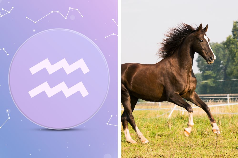 aquarius zodiac compatibility