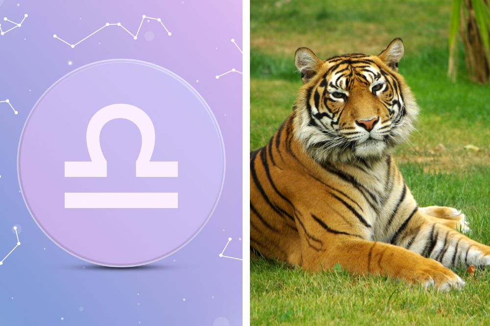 libra