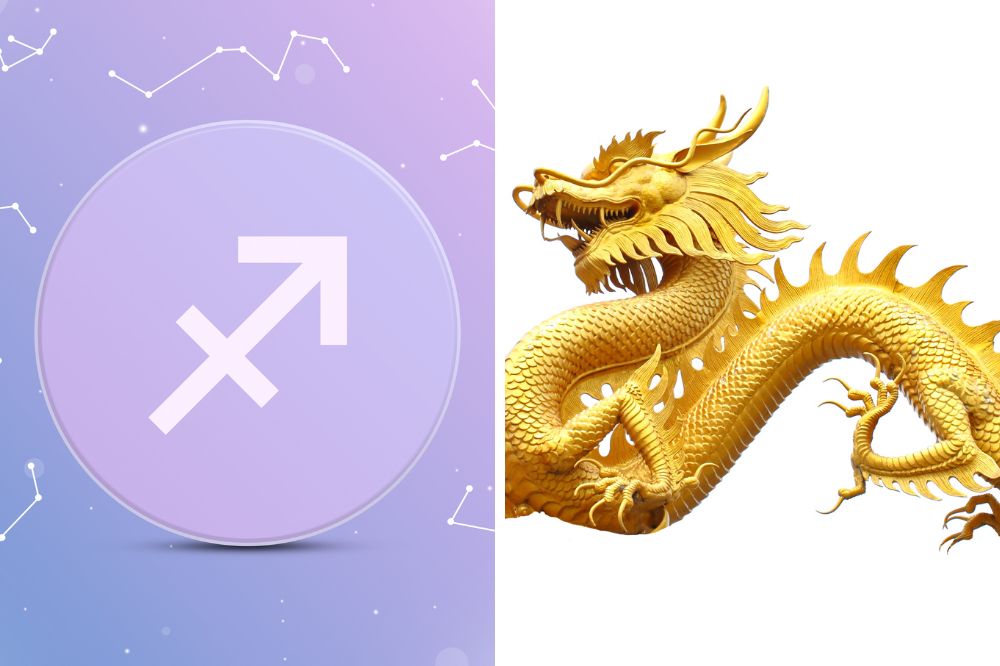 chinese zodiac compatibility: saggitarius