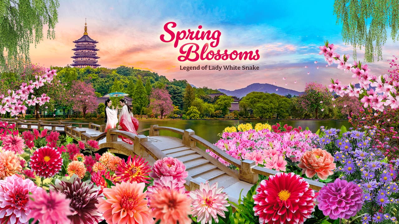 things to do in january- spring blossoms GBTB