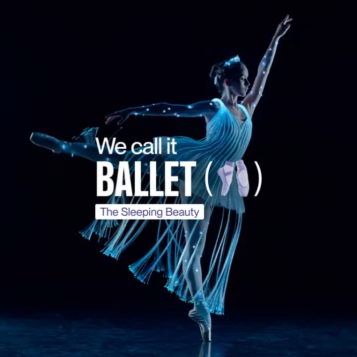 things to do in january- we call it ballet