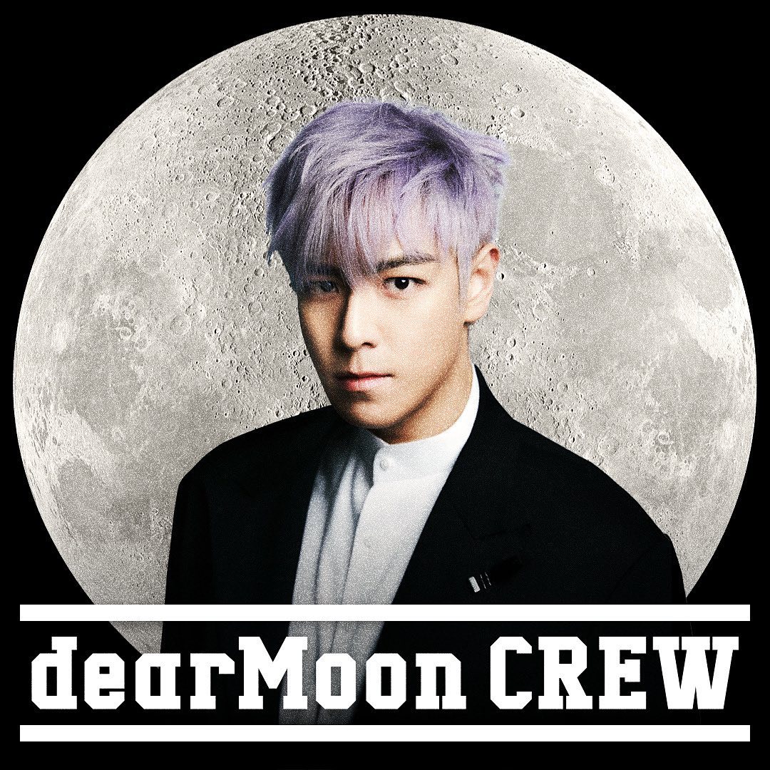 top - dearmoon project