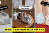 trendy bai nian bags cover