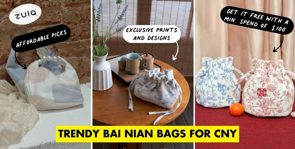 trendy bai nian bags cover