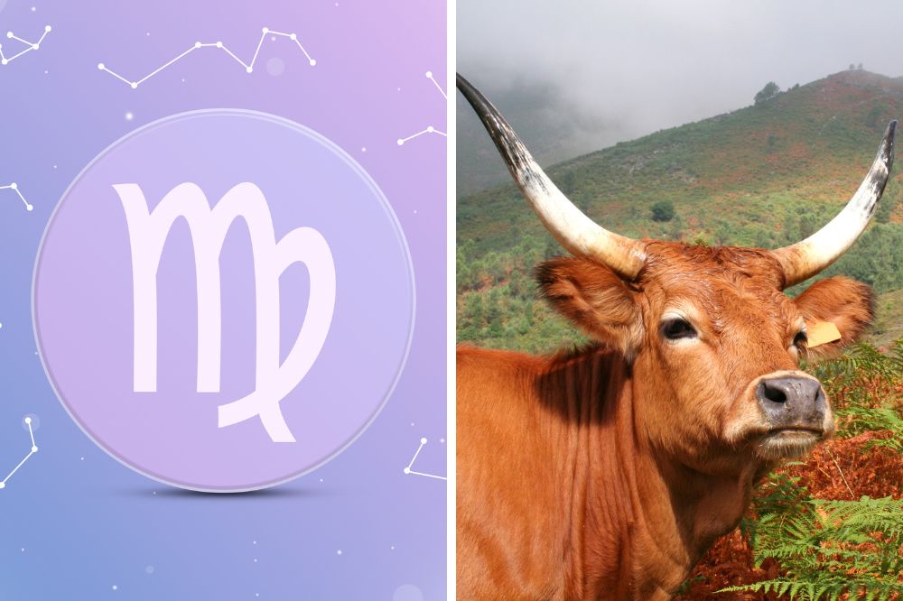 virgo