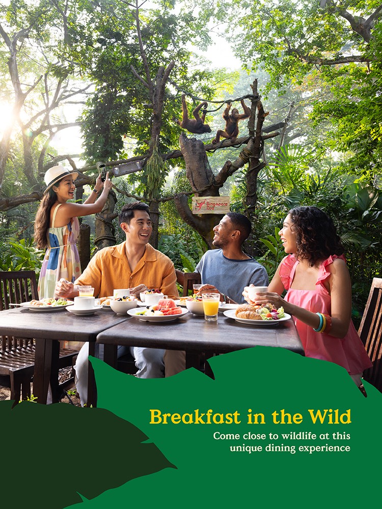 best date ideas - breakfast in the wild