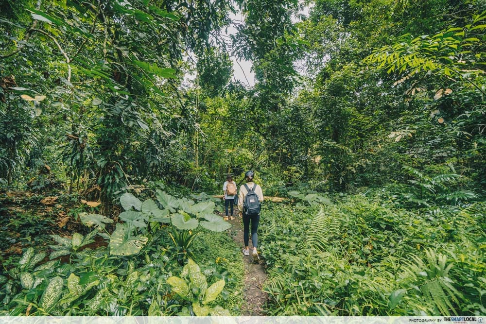 best date ideas - hiking singapore