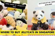jellycat cover image