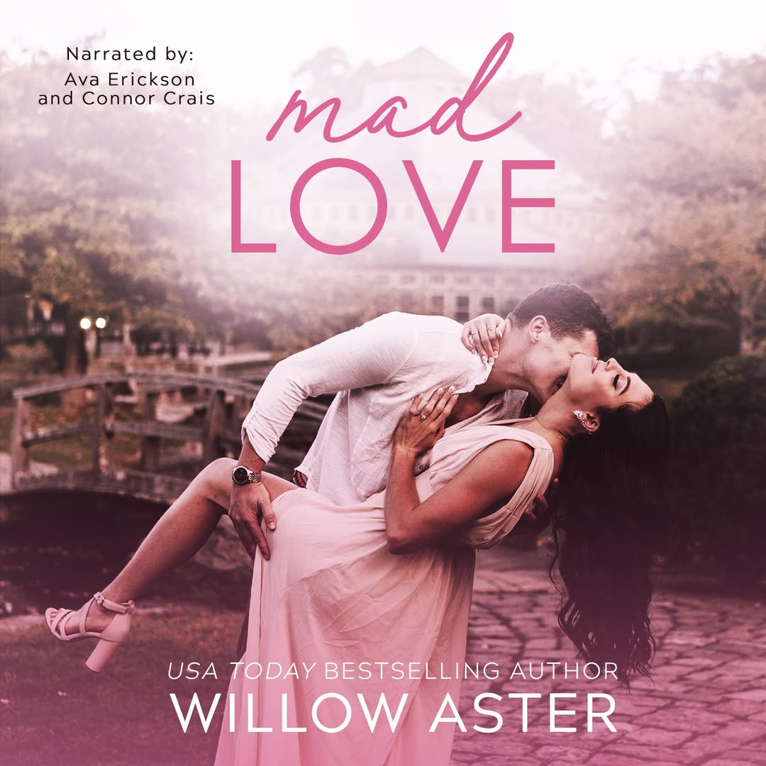 spicy BookTok books: mad love by willow aster