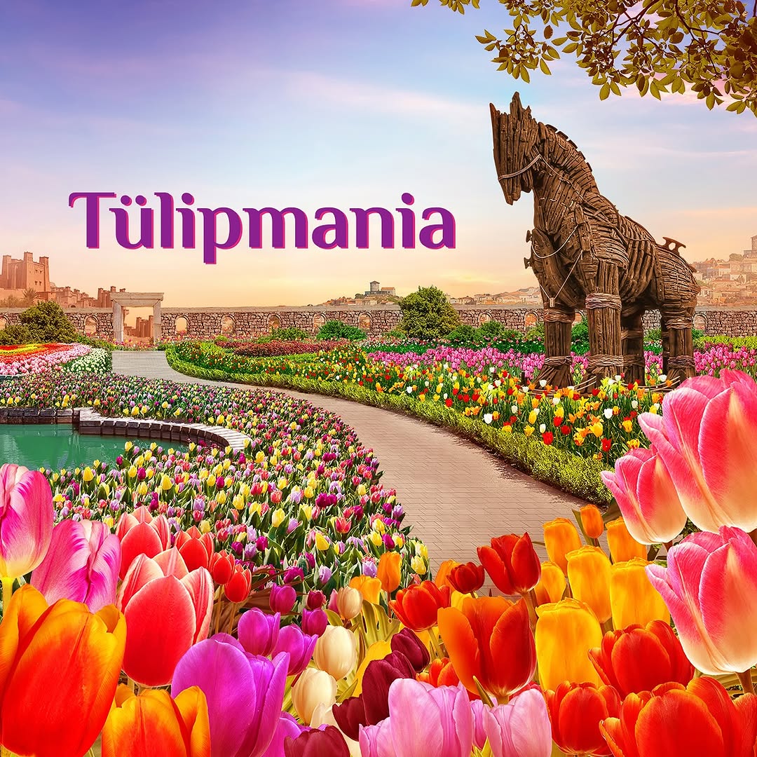 Things To Do In April Tulipmania