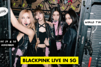 Blackpink Concert Cover Image