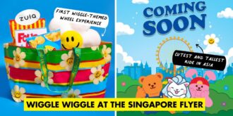 Wiggle Wiggle Singapore Flyer Cover