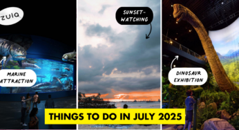 7 Things To Do In Singapore For July 2025— Skechers Sundown Festival, Singapore Oceanarium, And More