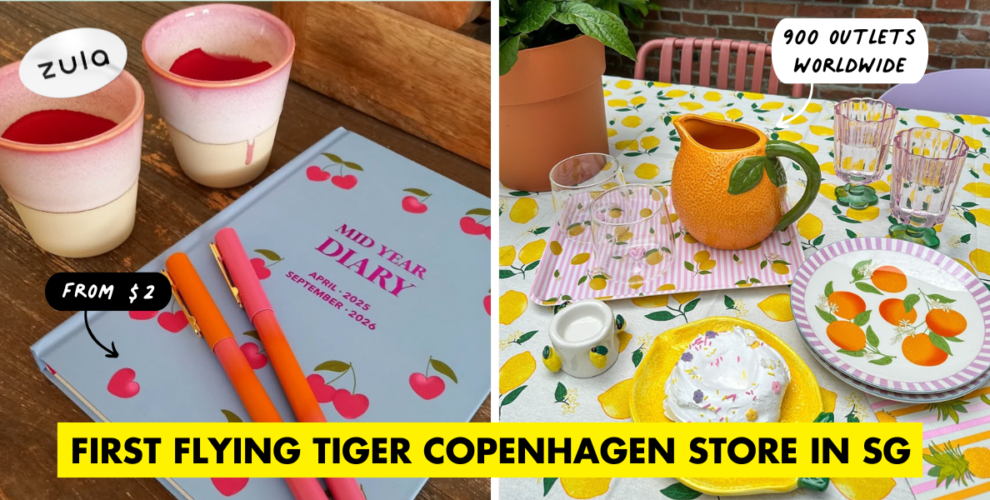 Flying Tiger Copenhagen Cover Image