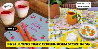 Flying Tiger Copenhagen Cover Image